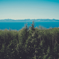 电话连环云呼叫软件