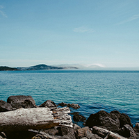 打爆别人手机号的软件