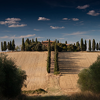 哪买不会翻车的在线短信轰炸测试